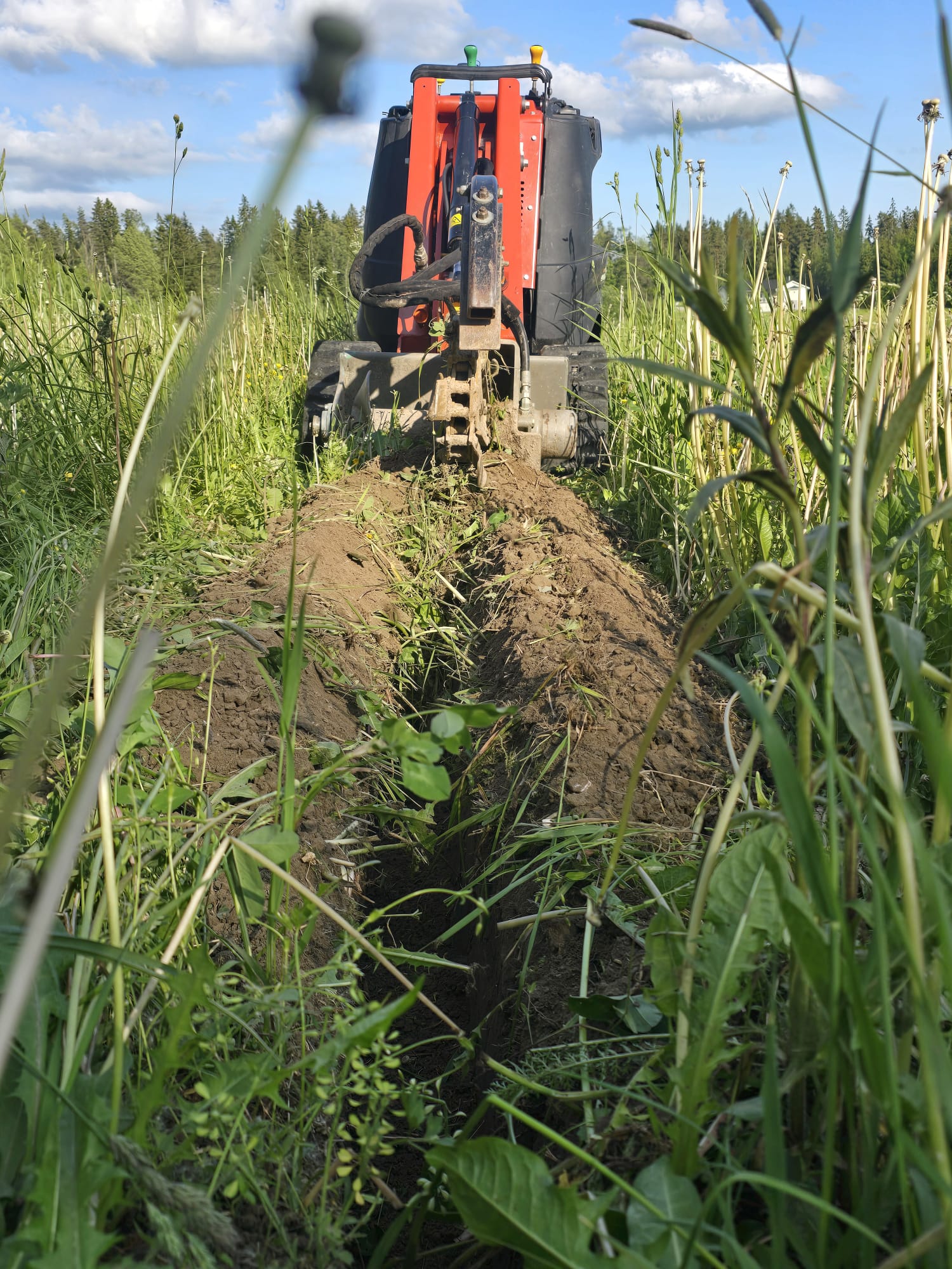 ditchwitch